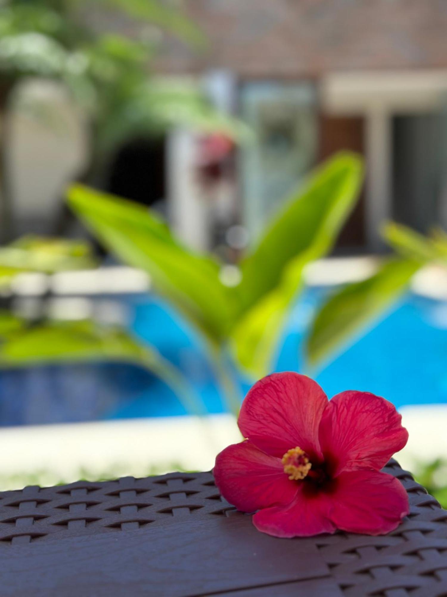 Jardim Do Rio Apartment